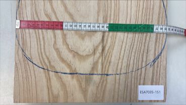 Body Swamp Ash, 1-pc. edge-glued, Unique Piece #151
